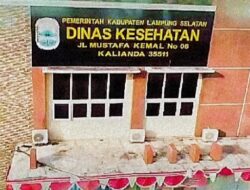 Anggaran Dinkes Lamsel APBD Perubahan 2023 Capai Rp 9,3 Milyar, Berikut Rinciannya ( Bagian II )