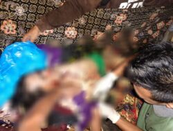 Temuan Korban Diterkam Harimau di Pesisir Barat, Polda Lampung Himbau Untuk Berhati-hati dan Lapor Jika Menemukannya