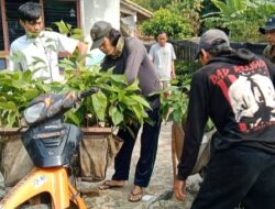 Kreatif !! Sambil “Nyambi” Jurnalis di Lamsel Menggeluti Dibidang Pembibitan