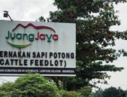 Dimusim Penghujan Masyarakat Lingkungan PT. Juang Jaya Abdi Alam Geram Dengan Serbuan Lalat