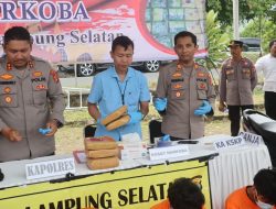 Polres Lampung Selatan Gagalkan Penyelundupan 16 Kg Ganja, Dua Tersangka Ditangkap