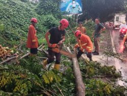 Cuaca Ekstrim, BPBD Lamsel Sebut 7 Rumah Warga Terdampak