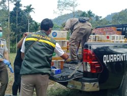 Ribuan Burung Dilepaskan ke Alam Liar