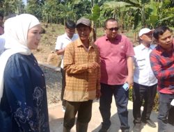 Wakil Ketua III Bella Jayanti Serahkan Bantuan Jembatan Way Sumur Lahu