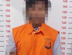 Dari Kasus Pencurian Motor, Polisi Ungkap Pelaku Maling Sapi di Ketapang