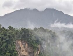 LSM PRO RAKYAT, Longsor Gunung Rajabasa “Alarm Keras”, Pemerintah Harus Tegas Sebelum Timbul Korban dan Kerugian