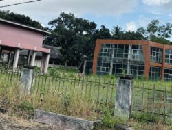 Gedung MPP Mangkrak, Gedung Kaca Terbengkalai, Jembatan Way Bungur Disorot, LSM PRO RAKYAT Desak Kajati Lampung Periksa Bupati Lampung Timur