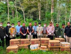 977 Ekor Burung, Termasuk Satwa Dilindungi, Digagalkan di Pelabuhan Bakauheni